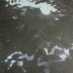 http://rhkdicpanel.lightizm.com/files/gimgs/th-76_71_Nostalgia1_v2.jpg